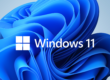 Windows 11