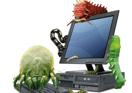 informatica pentru viermi